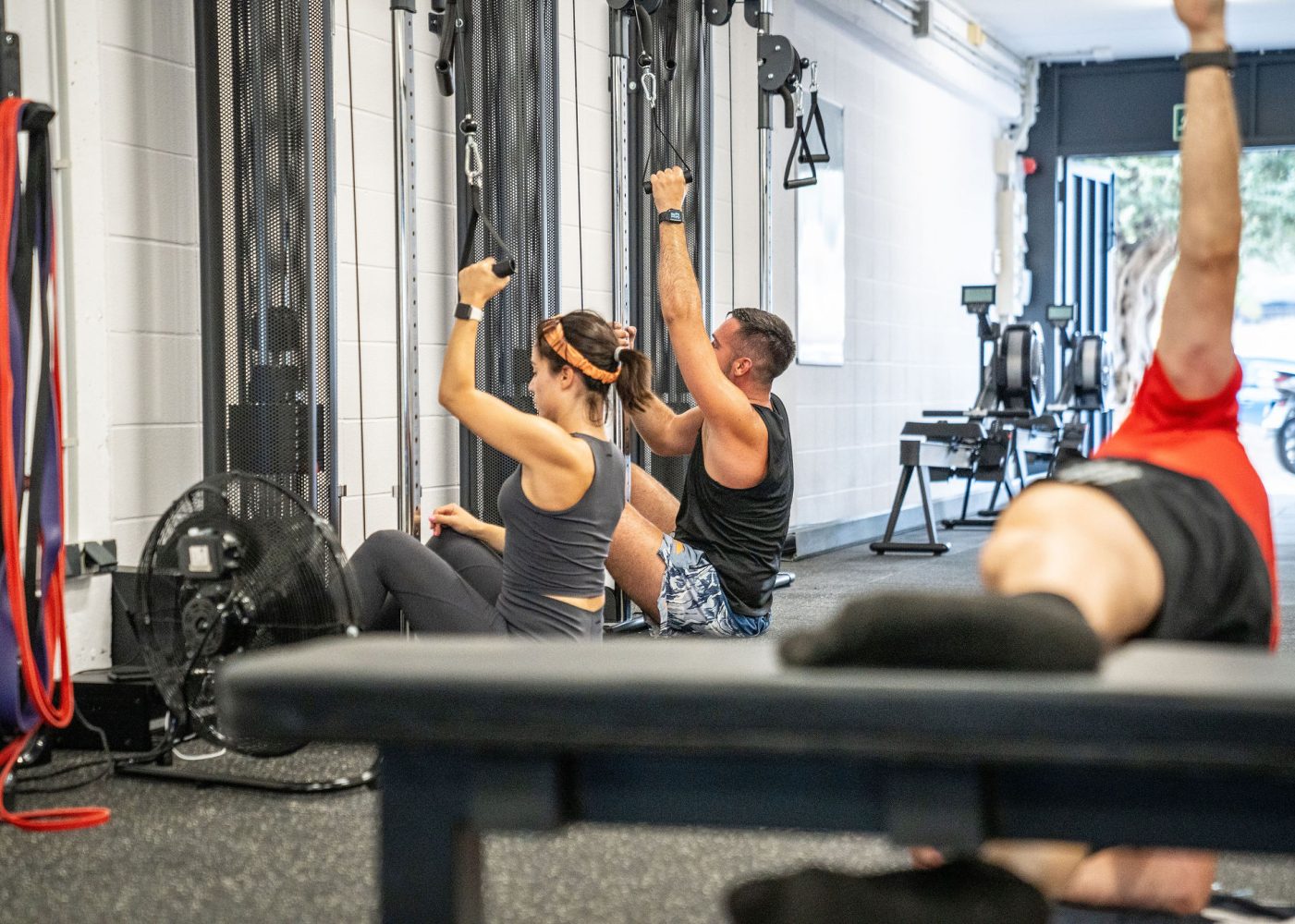 Entrenamiento grupal - Fitback